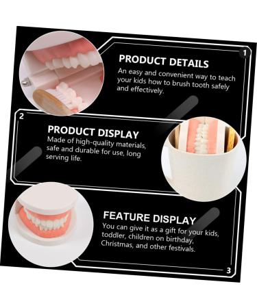 Minkissy Educational Tooth Brushing Toy Set - Early Learning Teeth Model for Kids | Reusable Pedagogical Teaching Tools - Buy Online on GoSupps.com