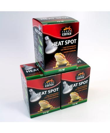 Terra Exotica Heat Spot 75 Watt -3 Packing Heat Lamp for Reptiles - 25W 40W 60W 75W 100W 150W - Terrarium Heat Spotters - Terrarium lighting (3 75 W) 75 W 3