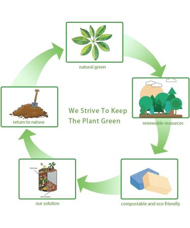 Eco-Friendly Baby Bottle Brush Set with 3 Cellulose Sponge Heads | Chemical-Free No Residue | Completely 100% Eco-Friendly for Sustainability - Buy Online on GoSupps.com