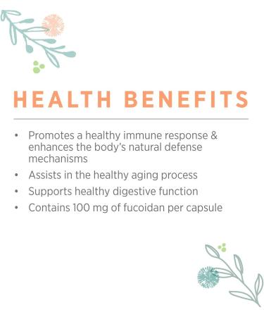 Pure Synergy SuperPure Fucoidan Capsules - 60 Count for Enhanced Immune Support - Buy Online on GoSupps.com