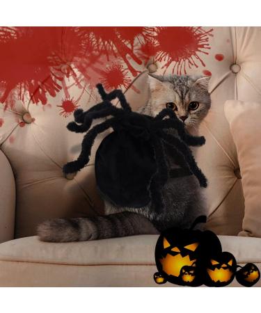 Spooky Cat & Dog Halloween Costumes - Zoneyan Bat Wings Spider Wings & More! - Buy Online on GoSupps.com
