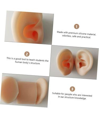 Operitacx Silicone Ear Model - Educational Ear Acupoint Learning Tool - Buy Online on GoSupps.com