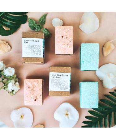Natural Pink Himalayan Salt Soap - Vegan Cold Process 6 oz | Eco-Friendly & Nourishing - Buy Online on GoSupps.com