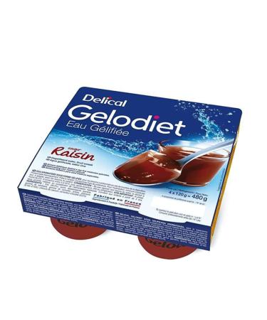 Delical Gelified water 4x120g Gelodiet Delical