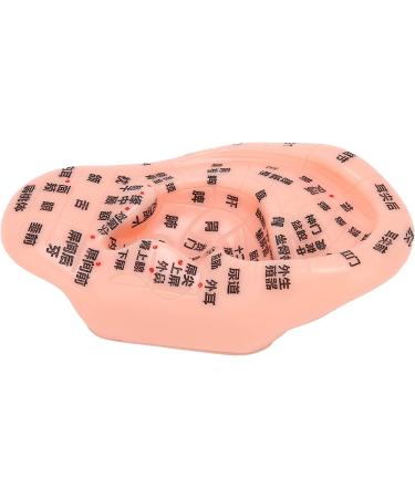 13 cm Ear Acupuncture Model | Ear Zone Pressure Point Learning Tool | International Shipping Available - Buy Online on GoSupps.com