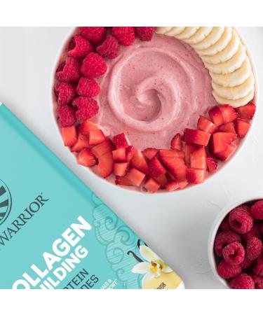 Chocolate & Vanilla Vegan Collagen Protein Powder Set | Bundle & Save | Plant Based Collagen Booster | Non-GMO No Added Sugar Soy or Dairy (40 Servings Chocolate 40 Servings Vanilla) - Buy Online on GoSupps.com