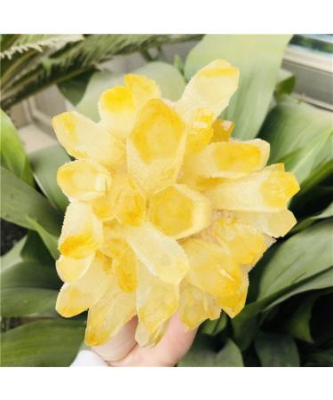 Natural Crystal Rough Home Decoration Natural Citrine Phantom Quartz Crystal Cluster Specimen Stones (Size : 600-700g) - Buy Online on GoSupps.com