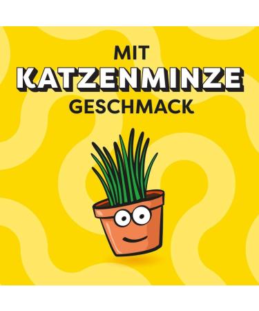 Dreamies Cat Snacks with Catnip - Creamy & Crispy Treats 6x60g | International Shipping Available - Buy Online on GoSupps.com