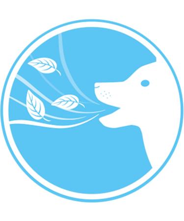 BEAPHAR - Dental Sticks for Large Dogs ( 10 kg) - Low Calorie Treats with Brown Algae and Green Tea - Fresh Breath - Eliminates Plaque and Tartar - 7 units - Buy Online on GoSupps.com