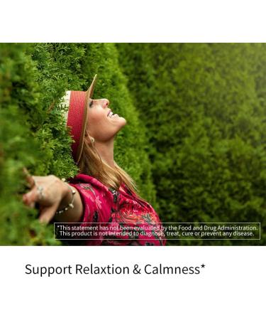 YOUTHVITA Ashwagandha Supplement with Magnesium glycinate L-Theanine | 60 Capsules | for Women and Men | Herbal Root Extract | Non-GMO Gluten Free - Buy Online on GoSupps.com