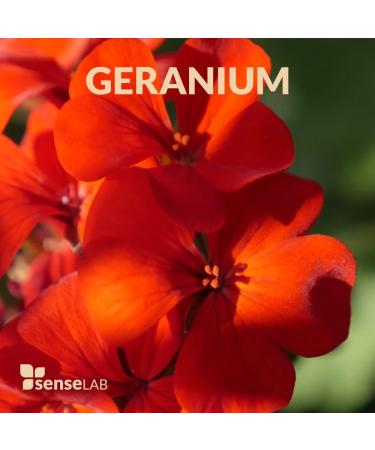 SenseLAB 100% Pure Geranium Essential Oil - Therapeutic Grade for Diffuser, Humidifier, Skin Care - Relaxing and Soothing - Rose Geranium 10ml - Buy Online on GoSupps.com