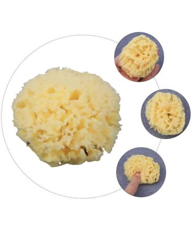 GANAZONO Esponja para Ba arse Cleaning Scrubber Shower Accessory Back Scrubber Bath Ball Shower Scrubber Bath Exfoliating Tool Bathroom Shower Ball Sponge Shower Supplies Body Baby - Buy Online on GoSupps.com
