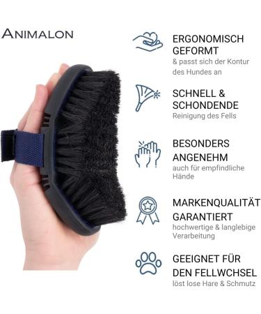 Animalon Kard tsche for Dogs | Natural Bristle Brush for Short Hair | Gentle Fur Care | Innovative Dog Grooming Tool (Small Blue) - Buy Online on GoSupps.com