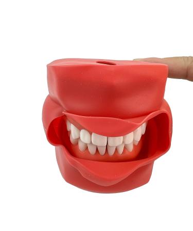 Teeth Soft Gum Phantom Head Study Model - 28 Removable Teeth & Cheek Simulation for Dental Education | International Shipping Available - Buy Online on GoSupps.com