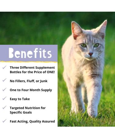 Hey Day Pets Cat Care Support Bundle -Â Cat Care Supplements - With Omega 3 6 9 + Probiotics - Active Culture Complex for Healthy Digestion Skin & Coat - Essential for Cat Health (300 Tablets) - Buy Online on GoSupps.com