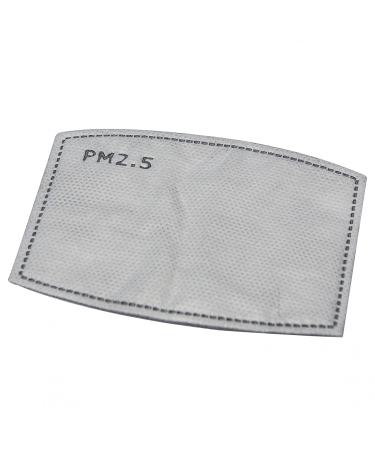 PM2.5 Replaceable Carbon Filters for Face Masks - Pack of 10 Adult - 12 x 18 cm by Finger prints