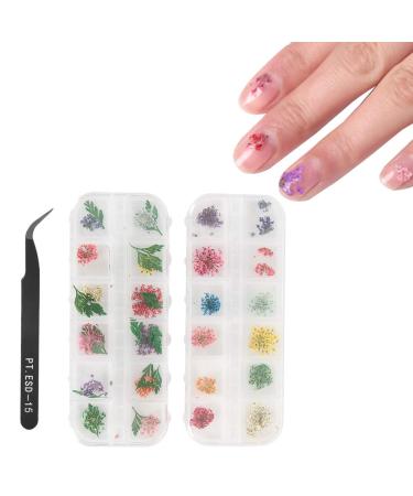 Dried Flower Nail Sticker Decoration Manicure Crafts DIY Mini Real Natural Flowers Nail Art Supplies Nail Decoration Sticker for DIY Tips Manicure Design with Tools