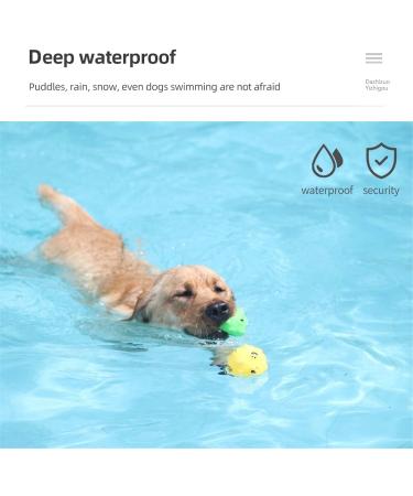 Classic Dog Collars - Waterproof Nylon Breathable Easy to Handle for All Sizes - Shop Now! - Buy Online on GoSupps.com