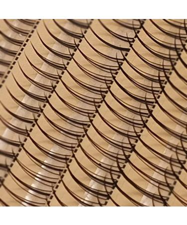 Fishtail Eyelash Extensions Mix Length Single Cluster Fans - C Curl Super Natual Grafting Eyelashes, Dovetail Fly Eyelash / A/M Shape, Premade Spikes, 10D Lashes - 1 Count - Buy Online on GoSupps.com
