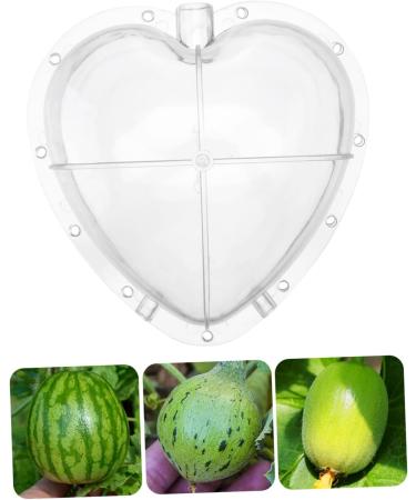 CIYODO Fruit Forming Mold Heart Shaped Watermelon Molds Square Watermelon Fruit Growth Tools Garden Tools Modeling - Buy Online on GoSupps.com