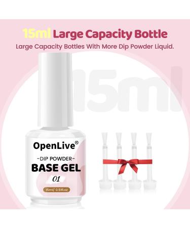 Dipping Powder Liquid Set (Base Coat Activator Matte Sealer) & Nail Replacement Brushes - Perfect for Beginners | International Shipping Available - Buy Online on GoSupps.com