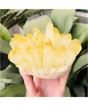 Natural Citrine Phantom Quartz Crystal Cluster Specimen qiangang (Size : 700-800g) - Buy Online on GoSupps.com