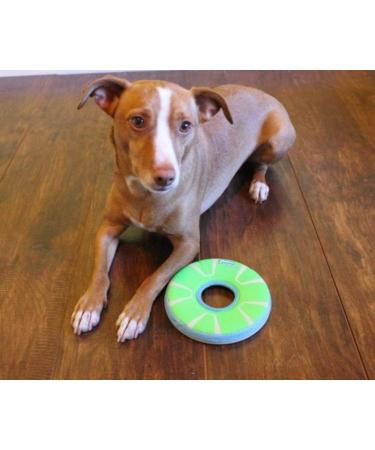 Buy Chuckit! CH32305 Zipflight Max Glow Small - Best International Shipping for Pet Toys - Buy Online on GoSupps.com