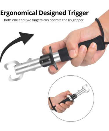 Calamus Fishing Pliers with Fish Lip Gripper  Lightweight Aluminum Fishing Tools  Line Cutter Hook Remover Split Ring Pliers  Fly Fishing kit  Ice Fishing Gear  Fishing Gifts for Men A:gold - Buy Online on GoSupps.com