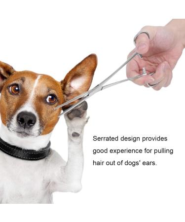 WUWYOUWL Hemostatic Tweezers for Pets Stainless Steel Dog & Cat Ear Hair Scissors 18cm Fishing Tool - Buy Online on GoSupps.com