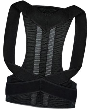 harayaa Back Brace Posture Correctors for Office Worker Women Men Family Friends Teens L - Buy Online on GoSupps.com