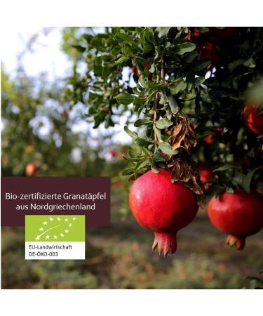 ARISTOS 6 x 750 ml Bio Pomegranate Juice from Greece Greek pomegranate direct juice cap juice without sugar - Buy Online on GoSupps.com