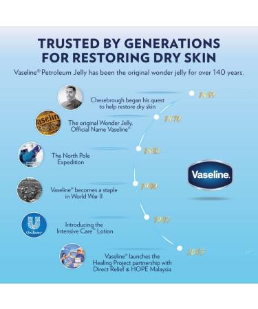 Vaseline Lip Therapy Mint with Backer Card - Hydrating Lip Balm - Buy Online on GoSupps.com