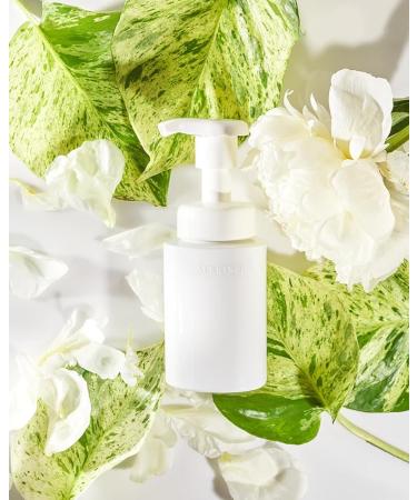 SEKKISEI Clear Wellness Gentle Wash Refill - Facial Cleanser for Sensitive Skin 4.7 Oz | Shop Internationally - Buy Online on GoSupps.com