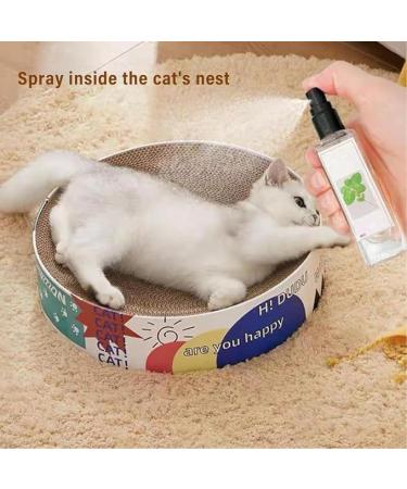 Herbal Cat Joy Spray - Natural Catnip & Behavior Solution for Cats & Kittens | Celery Pets - Buy Online on GoSupps.com