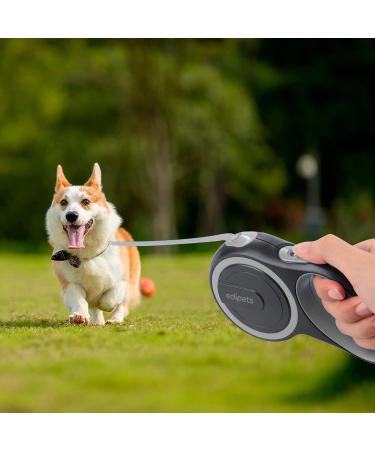 Edipets 5m Retractable Dog Leash - Flexible Extendable Leash for Dogs up to 20kg | Comfortable Walks with Inserable Design - Buy Online on GoSupps.com