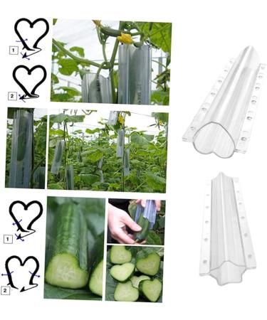2pcs Shaped Growth Mold Vegetables Cucumbers Plastic Fruit Plastic Cucumber Molds Child Plant Melon - Buy Online on GoSupps.com