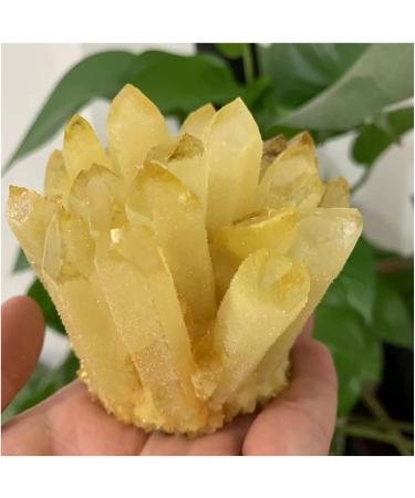 Natural Crystal Rough Crystal Cluster Natural Citrine Phantom Quartz Crystal Cluster Specimen (Size : 750-800g) - Buy Online on GoSupps.com