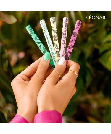 Neonail Stamping Plate 19 - Premium Stencil Plate for Nail Art & Design | Ideal for French Nails & Creative Nail Stamping - Buy Online on GoSupps.com