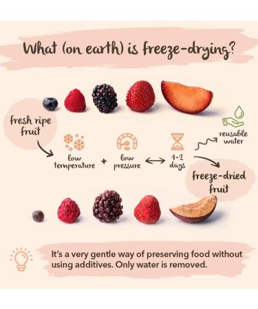 BRIX Freeze-Dried Blackberry | 100% Natural Dry Wild Blackberry 95g | Dried Fruits Great Taste Award | Non-GMO Gluten Free Ve - Buy Online on GoSupps.com