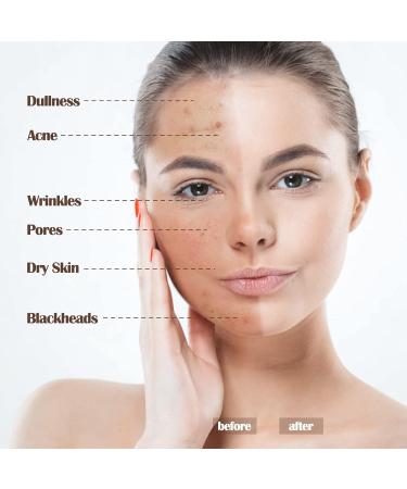 PHOERA 30ml Liquid Foundation Set | Full Coverage Matte Oil Control Concealer | Includes Foundation Brush | Soft Matte Finish | 24HR Wear | Shade 102 - Buy Online on GoSupps.com