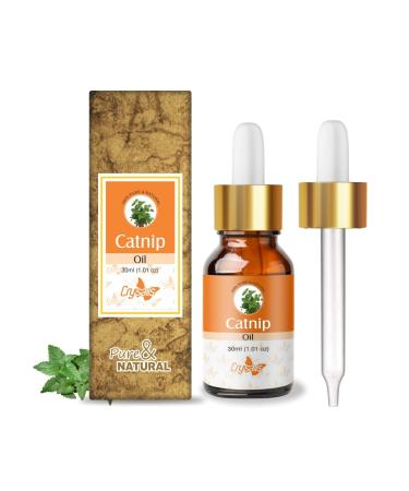 Crysalis Catnip (Nepeta cataria) Oil - 1.01 Fl Oz (30ml)