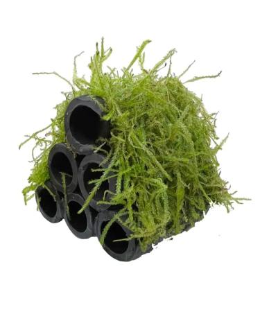Aqua Essentials Java Moss Shrimp Shelter