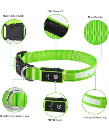 Masbrill LED Dog Collar - USB Rechargeable Waterproof & Adjustable for Small to Medium Dogs - 3 Lighting Modes - Safety Green (S 28-40cm) - Buy Online on GoSupps.com