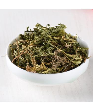 Herba Selaginellae Doederleinii Selaginella Doederleinii Hieron Greater Selaginella Selaginella Doederlein's Spikemoss Herb The Doederlein's Spikemoss Herb shishangbai (8 oz)