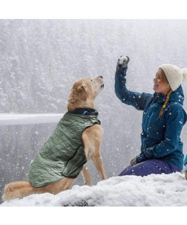 EMUST British Style Windproof Warm Dog Jacket for Winter - Green | Dog Apparel for Cold Weather - 7 Sizes, 13 Colors - Buy Online on GoSupps.com