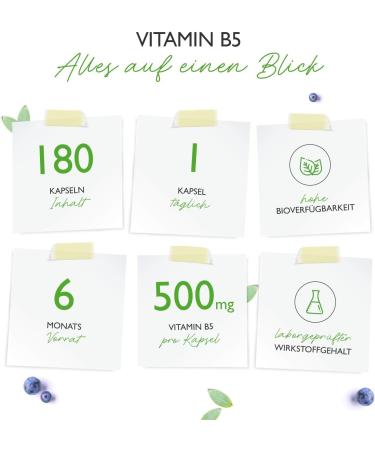 Vitamin B5 500mg - 180 Vegan Capsules | High-Dose Pantothenic Acid | Lab Tested for Purity - Premium B Vitamin for Skin & Nerves - Buy Online on GoSupps.com