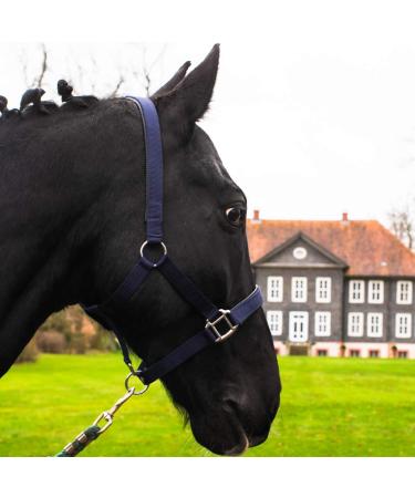 Horse delinis halter for warm blood thoroughbred cold blood pony-stable strap pasture pasture 2-fold adjustable thorn buckle safe & tear-resistant (blue thoroughbred (COB)) blue whole blood (COB)