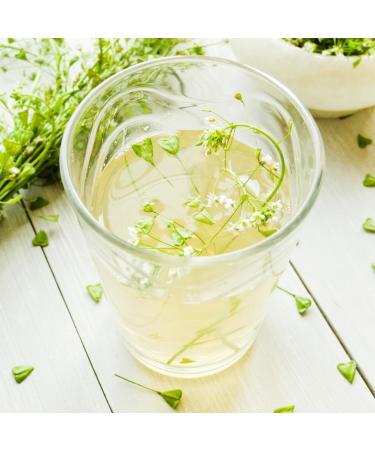  IDDA Herbal IDDA Herbal Shepherd's Purse Tea 500g Dried and Cut Shepherd's Purse Herb Loose Leaf Tea - Buy Online on GoSupps.com