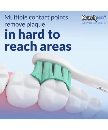 Brushmo Teeth Whitening Bundle: Sonicare Compatible Replacement Heads and Pap+ Whitening Strips - Buy Online on GoSupps.com