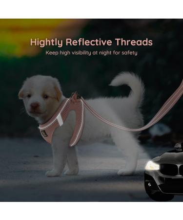 Buy Bella & Pal Step-In Dog Harness for Small Dogs - Reflective Breathable Air Mesh with Leash | XS Coral Pink (30-35cm) - Perfect for Puppies & Cats - Buy Online on GoSupps.com